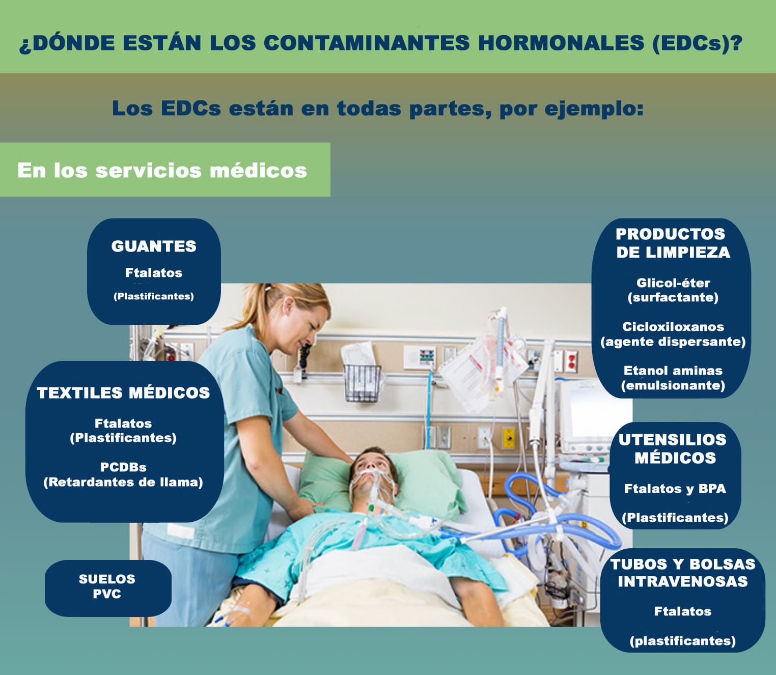 Infografía “EDC-Free Healthcare” de Health Care Without Harm (Salud sin daño)