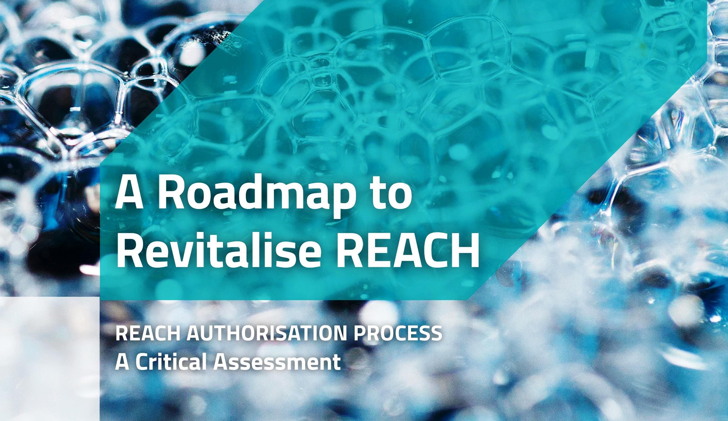 Estudio "A roadmap to revitalise REACH".