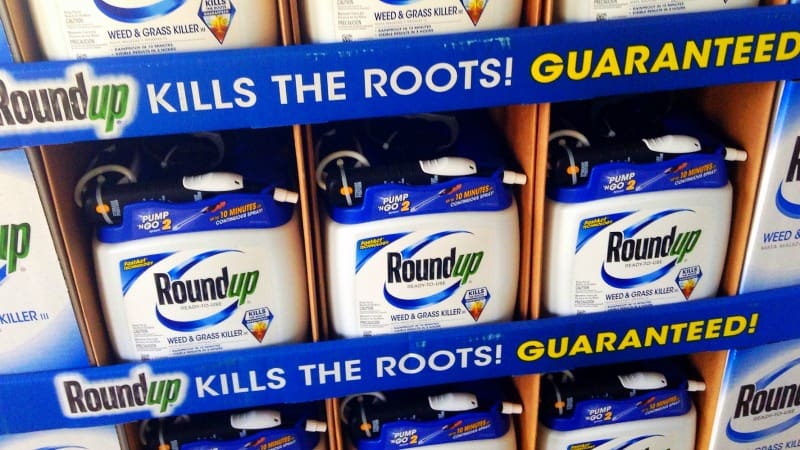 Roundup-kills-the-roots-guaranteed