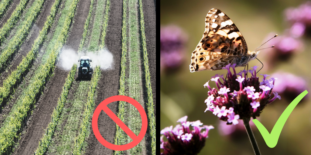 pesticidas en superficies de interés ecológico